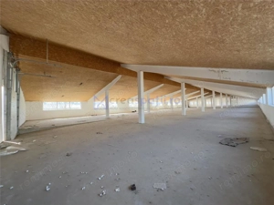 Complex hale depozitare - productie Iasi, Ciohorani, 8164mp - imagine 2