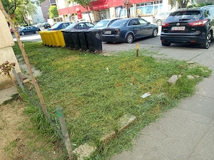 zona Ciarda si mosnita tund iarba 