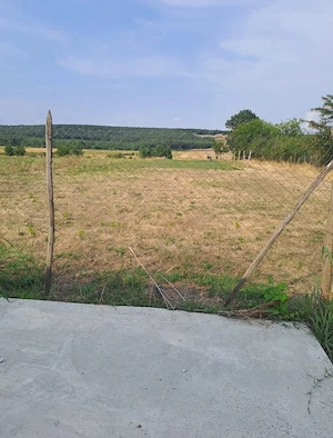 Casă de vânzare, Vulpeni, 1400 m2 - imagine 2