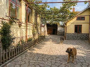 Casa superba de vanzare Racos-Brasov - imagine 5