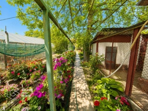 Casa 3 camere, teren 720 mp, garaj, Cartier Șega - imagine 15