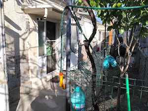 casă utilizabila cu 5 camere, 2 bai, 2 bucătării la 80000 euro 