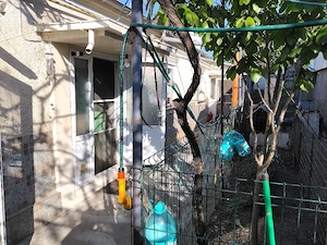 casă utilizabila cu 5 camere, 2 bai, 2 bucătării la 77000 euro  - imagine 2