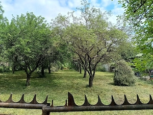 Teren de vanzare