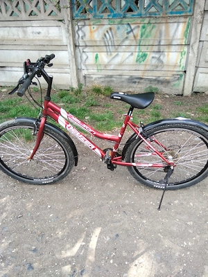 Biciclete pentru el și pentru ea - imagine 2