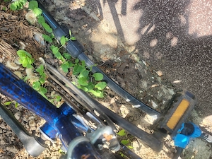 Vând bicicleta cu 7 trepte de viteza în perfecta stare de funcționare 
