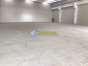 Hale Productie Depozitare Alba Su. de la 1725 mp. - 4000 mp. finisata complet 