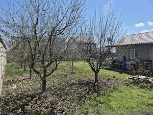 Teren de vanzare Berceni - Ilfov - Primaverii