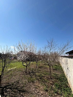 Teren de vanzare Berceni - Ilfov - Primaverii