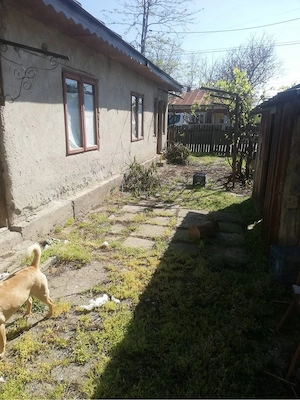 Com. Ciocanesti jud. Calarasi