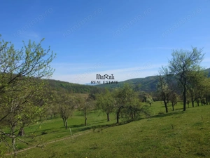 Teren intravilan si extravilan Luncoiu de Jos - imagine 11