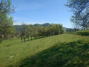 Teren intravilan si extravilan Luncoiu de Jos - imagine 6