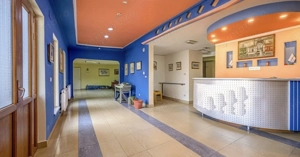 COMPLEX INDUSTRIAL DE VANZARE - PANTELIMON - imagine 3
