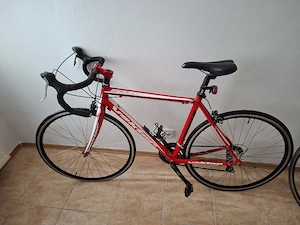 Bicicleta  de sosea ,cursiera Vektor
