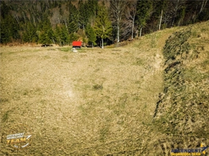 In notabil areal, teren extravilan pe 5.800 mp, Ojdula, Covasna - imagine 9