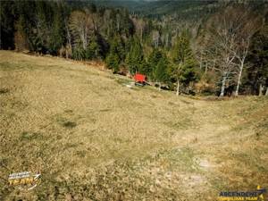 In notabil areal, teren extravilan pe 5.800 mp, Ojdula, Covasna - imagine 12