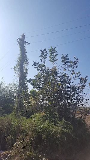 vand teren extravilan - 4500mp - comuna Isvoarele judetul Giurgiu - imagine 4