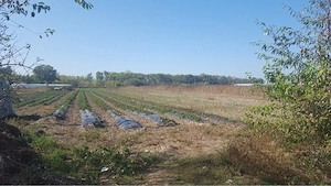 vand teren extravilan - 4500mp - comuna Isvoarele judetul Giurgiu - imagine 3