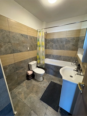 Apartament Regim Hotelier Bistrita - imagine 8