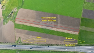 Teren intravilan, 5000 mp, Stupini, str Pomiculturii - imagine 4