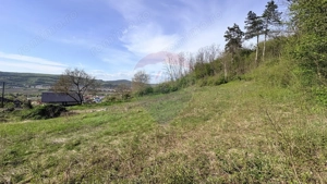 Teren 15,320mp Medias / Strada Episcop Ioan Bob - imagine 12