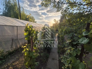 AP. 94MP 4CAM PARTER+GRADINĂ150MP GIARMATA-Timișoara - imagine 9