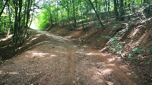 Proprietate de vânzare în Barbura (Băița), Hunedoara 