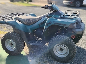 Kawasaki brute force  - imagine 3