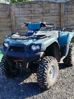 Kawasaki brute force 