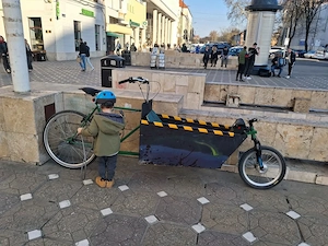 Bicicleta cargo electrica