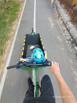bicicleta cargo electrica