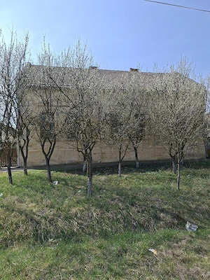 Casă în Variaș - imagine 4