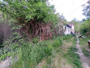 Sasca Montana | Oportunitate | Casa cu 230 MP Teren - imagine 6