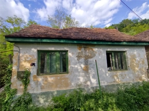 Sasca Montana | Oportunitate | Casa cu 230 MP Teren - imagine 9