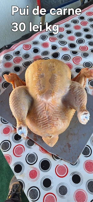 pui de carne