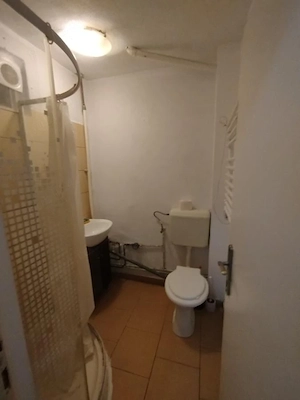Apartament 1 camera - Calea Buziasului - Etaj 2 - imagine 3