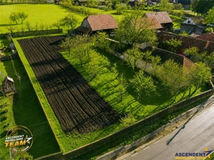 FILM! Casa si anexe, pe domeniu de 6.221mp,  livada pomi fructiferi, Lemnia, Covasna - imagine 12