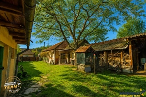 FILM! Casa si anexe, pe domeniu de 6.221mp,  livada pomi fructiferi, Lemnia, Covasna - imagine 20