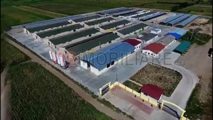 *Fermă modernă pentru export miei | 6 ha | Standarde europene | Aproape de Brăila* - imagine 2