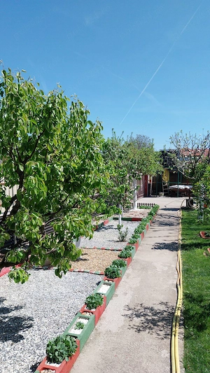 Casa de vanzare Buftea - Manastirea - imagine 2