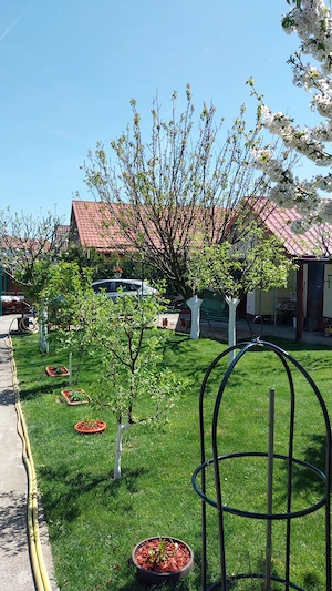 Casa de vanzare Buftea - Manastirea - imagine 7