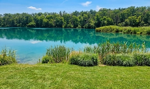 Teren 1 880 mp in branesti | padure lac | str. soarelui