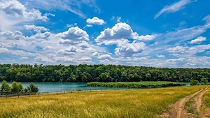 Teren 1 880 mp in branesti | padure lac | str. soarelui - imagine 3