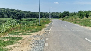 Teren 1 880 mp in branesti | padure lac | str. soarelui - imagine 4
