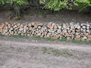 lemne de foc
