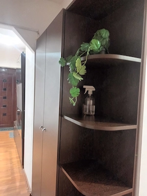 Agentie inchiriez 2 camere decomandate Brazda -Paltinis K-uri ,etaj,Centrala - imagine 9