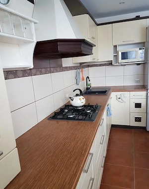 De inchiriat apartament cu o camera in zona Dacia - imagine 2