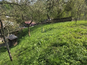 Casa cu teren generos in zona turistica de munte ,Nadrag,Timis - imagine 12