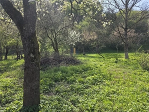 Casa cu teren generos in zona turistica de munte ,Nadrag,Timis - imagine 13
