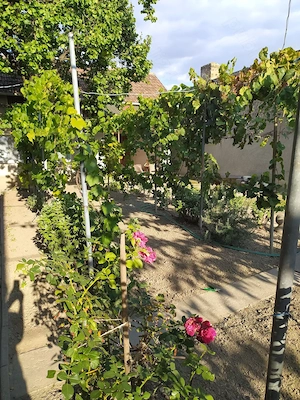 Casă spațioasă de vânzare in Nădlac - imagine 2